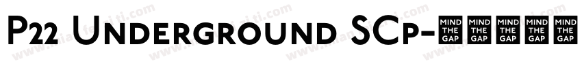 P22 Underground SCp字体转换